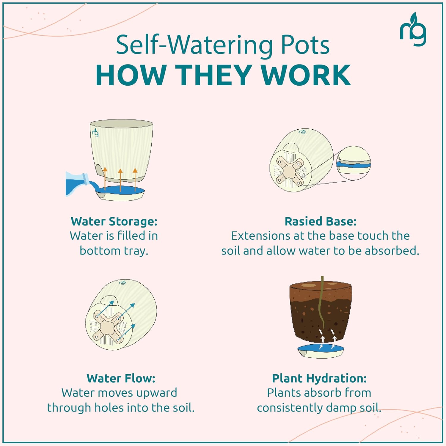 Nurturing Green® Combo of 2 Live Indoor Plants (Aglaonema Lady Valentine & Syngonium Pink) in Ivory Self Watering Pots