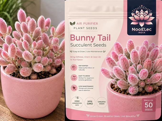 Seeds Ville Bunny Tail Succulent Seeds Grow All India