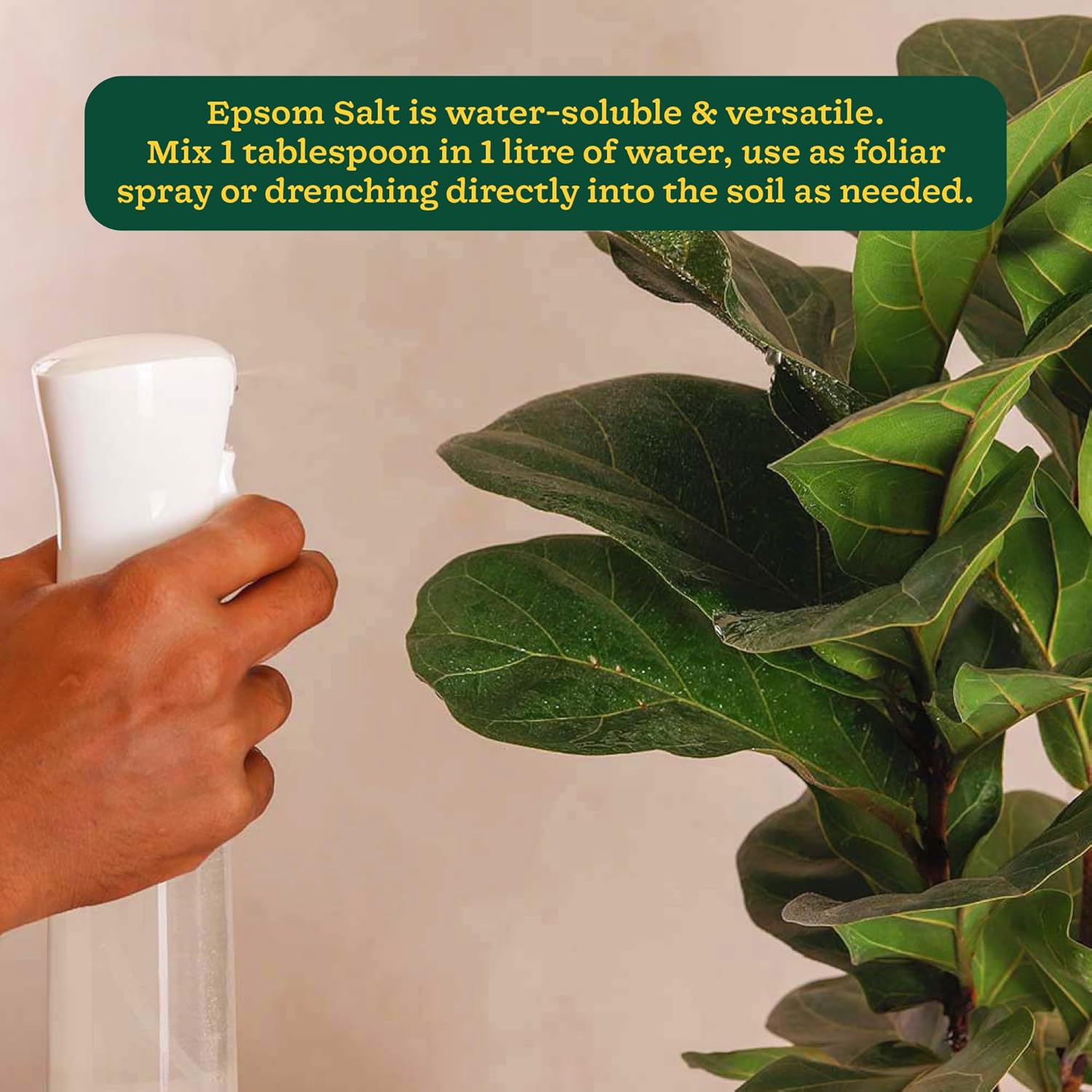 Ugaoo Epsom Salt for Plants Growth - Magnesium Sulphate Organic Fertilizer - 1 Kg |Powder - Seeds Ville