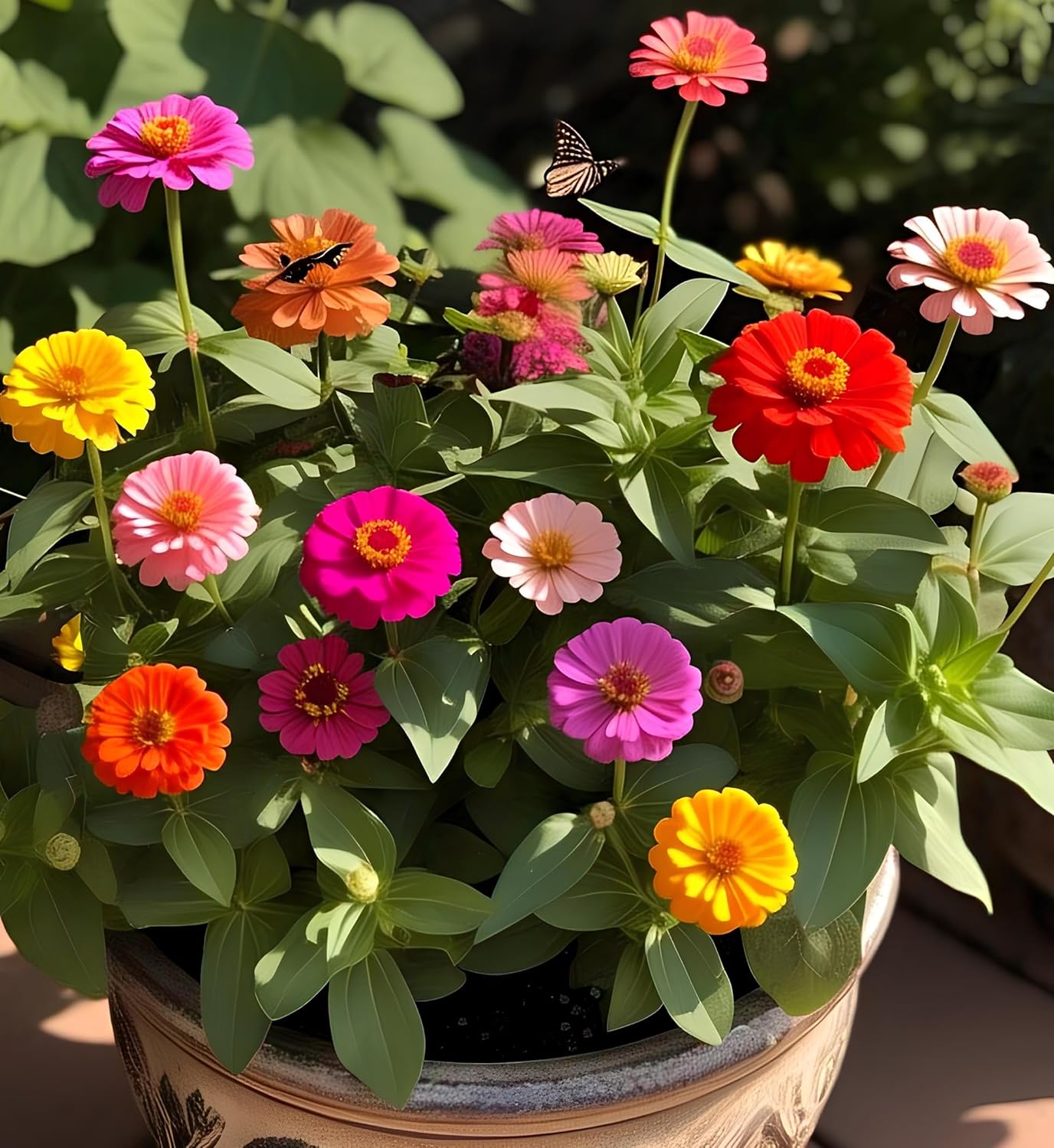 Dwarf Zinnia Mix Flower Seeds - 35 Seeds Pack, Easy to Grow & Care, Year-Round Blooming - Seeds Ville