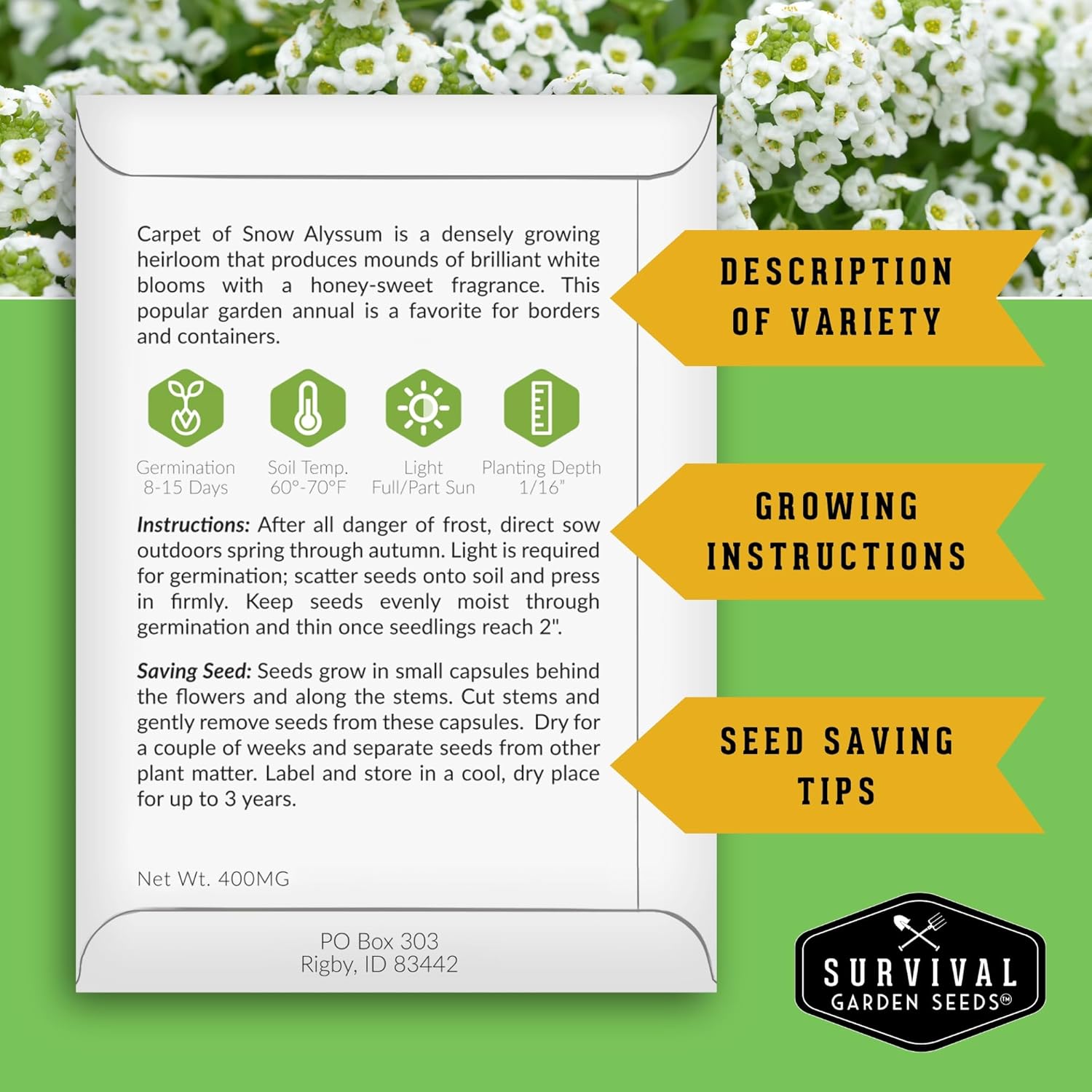 Alyssum Seeds for Planting – 2 Varieties | Purple Royal Carpet & White Carpet of Snow Sweet Alyssum – Fragrant Heirloom Flowers & Ground Cover – Survival Garden Seeds