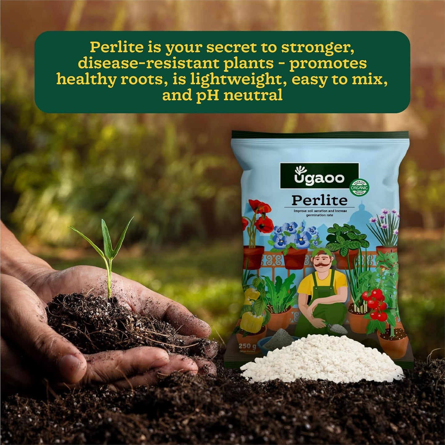 Ugaoo Perlite for Gardening Potting Soil, Indoor & Outdoor, Hydroponics and Horticulture Potting Mix- 250 Grams
