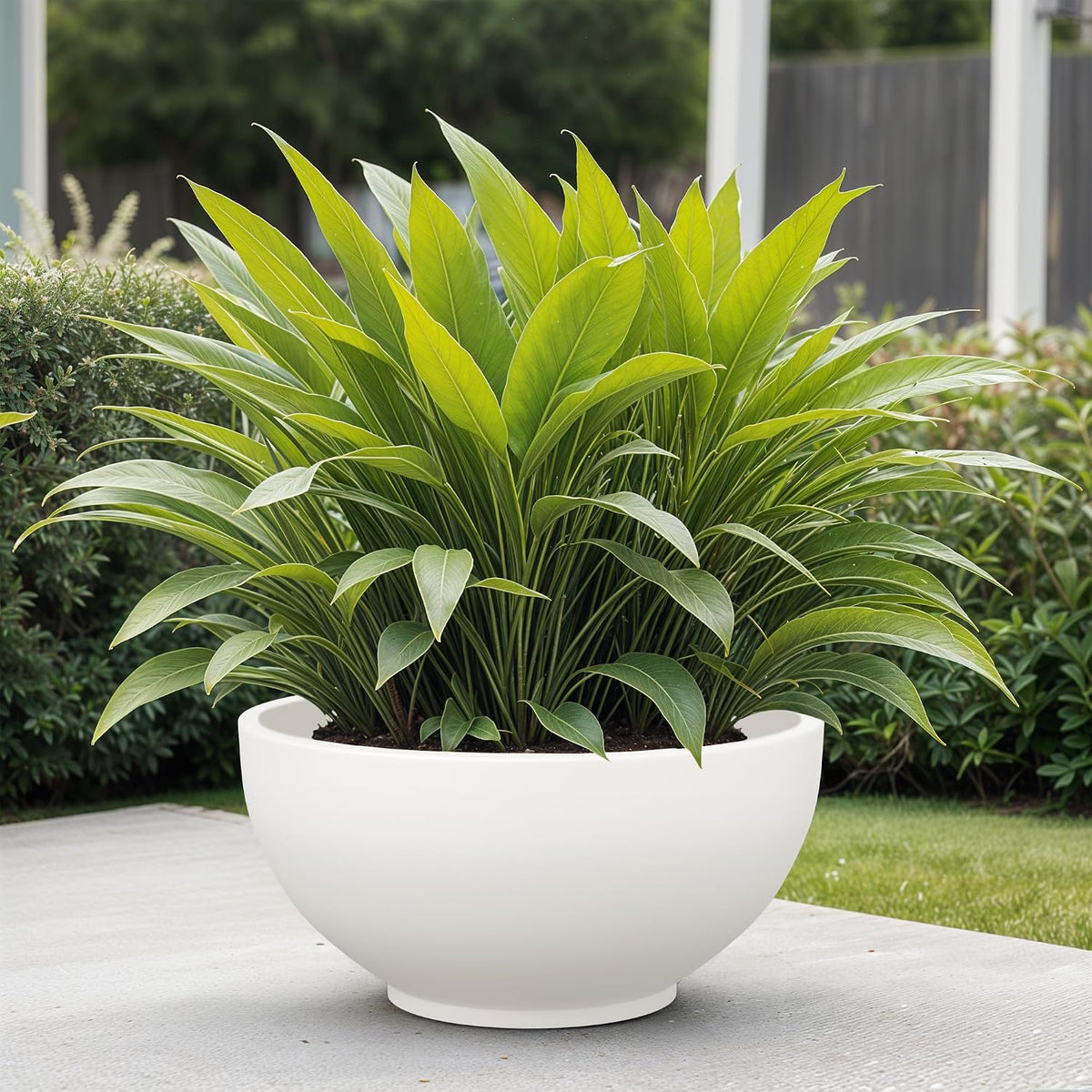 Seeds Ville FOXB KTR Durable Polymer Planter Pot