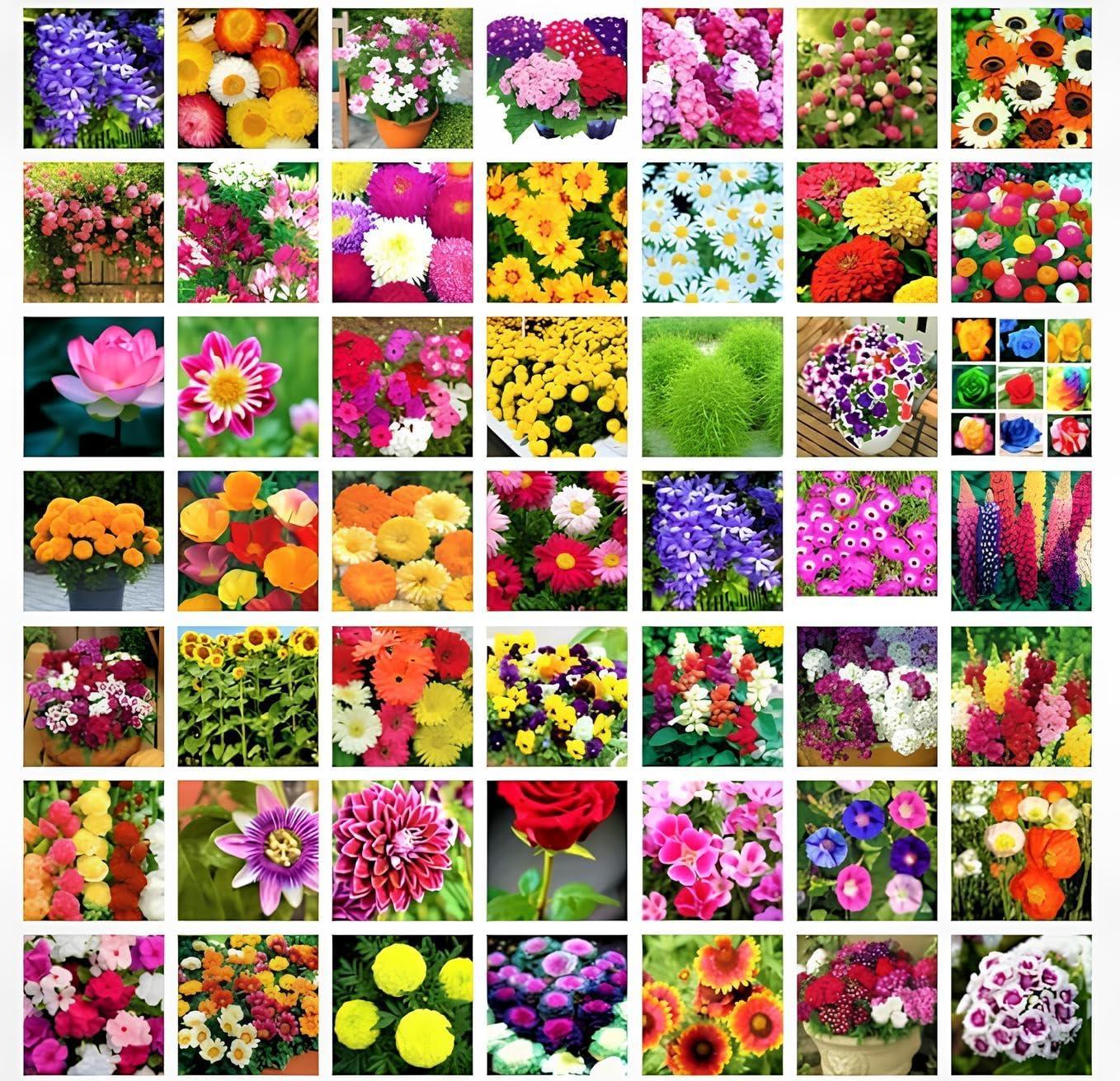 NooElec Seeds India 2200+ Seeds- All Seasons 50 Variety of Hybrid Flower Seeds Combo Pack- All Year Seeds Bank - Seeds Ville