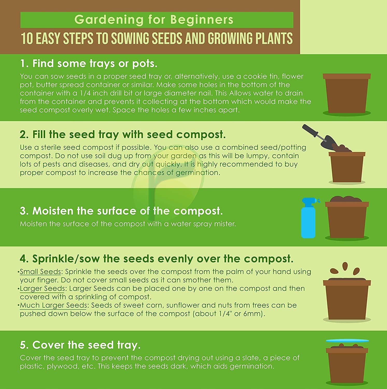 VIBEX -™ VXL-591 ORGANIC Exotic Glass Gem Corn Seeds