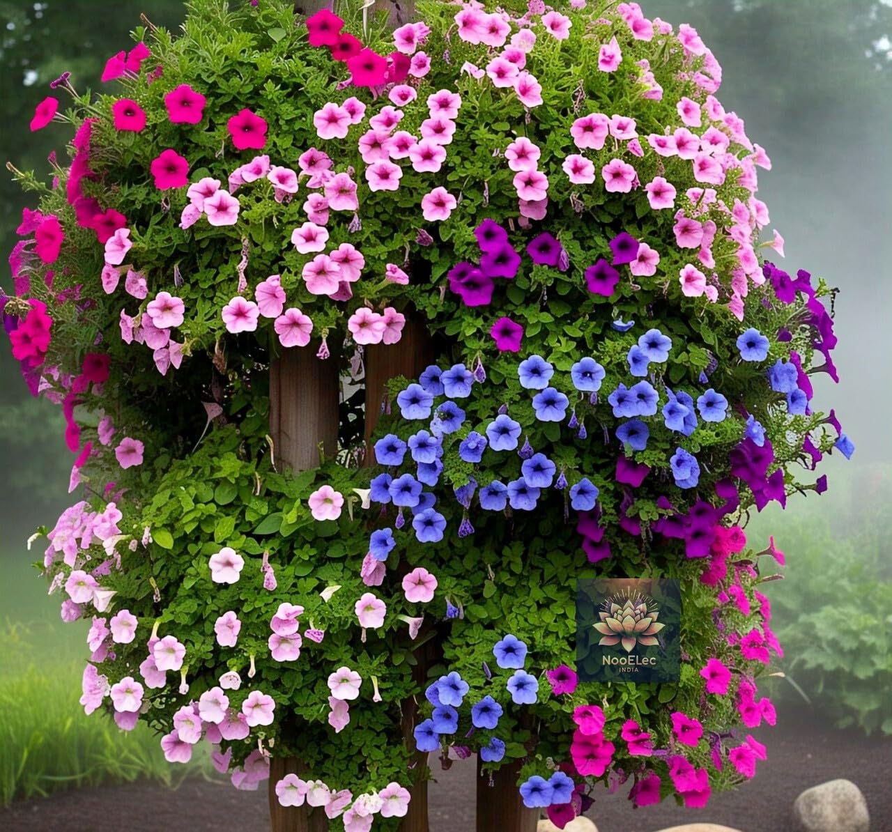 NooElec Seeds India Hybrid Hanging Petunia Flower Seeds - 300 Pcs, Mixed Colors, All-Year Blooms - Seeds Ville