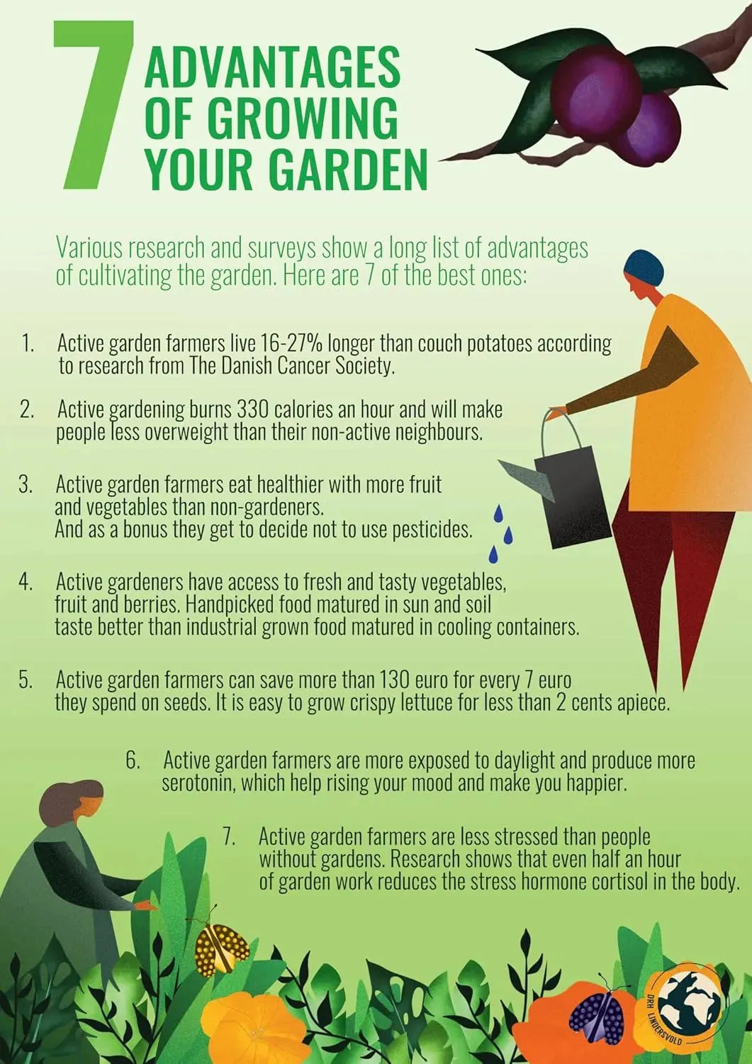 Hybrid Dwarf Fruit Seeds Combo Pack Apple, Grape, Guava, Orange 5 Seeds Each- Grow Indoor & Outdoor - Seeds Ville