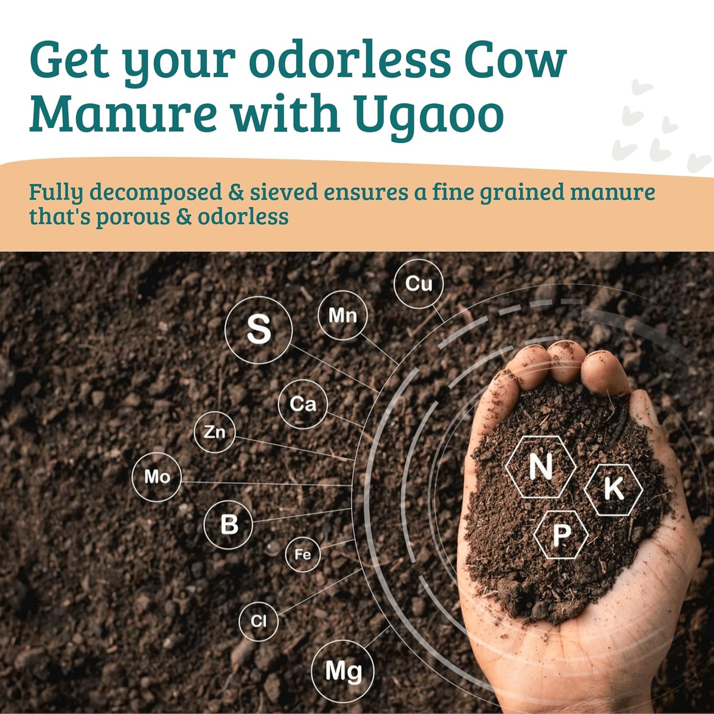 Ugaoo Cow Dung Manure Fertilizers for Plants & Home Gardening - 20 kg