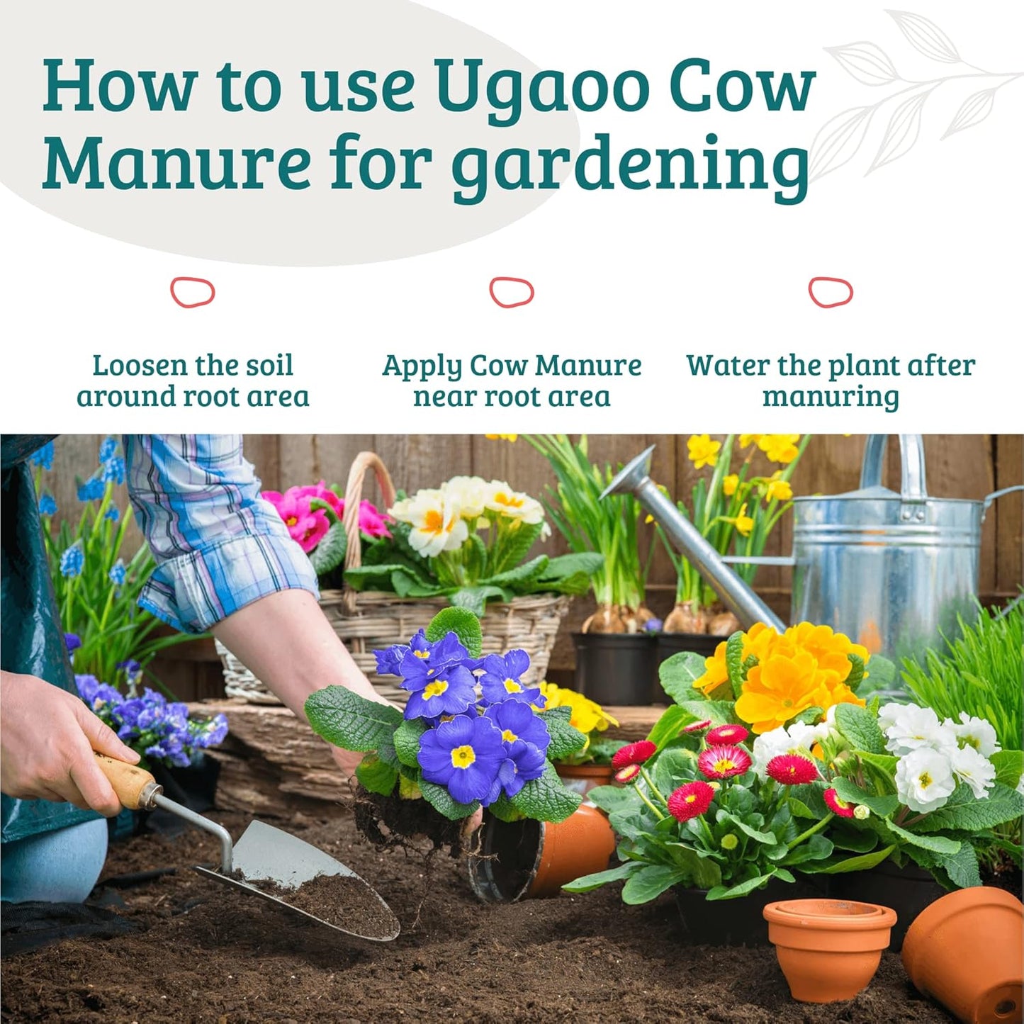 Ugaoo Cow Dung Manure Fertilizers for Plants & Home Gardening - 20 kg
