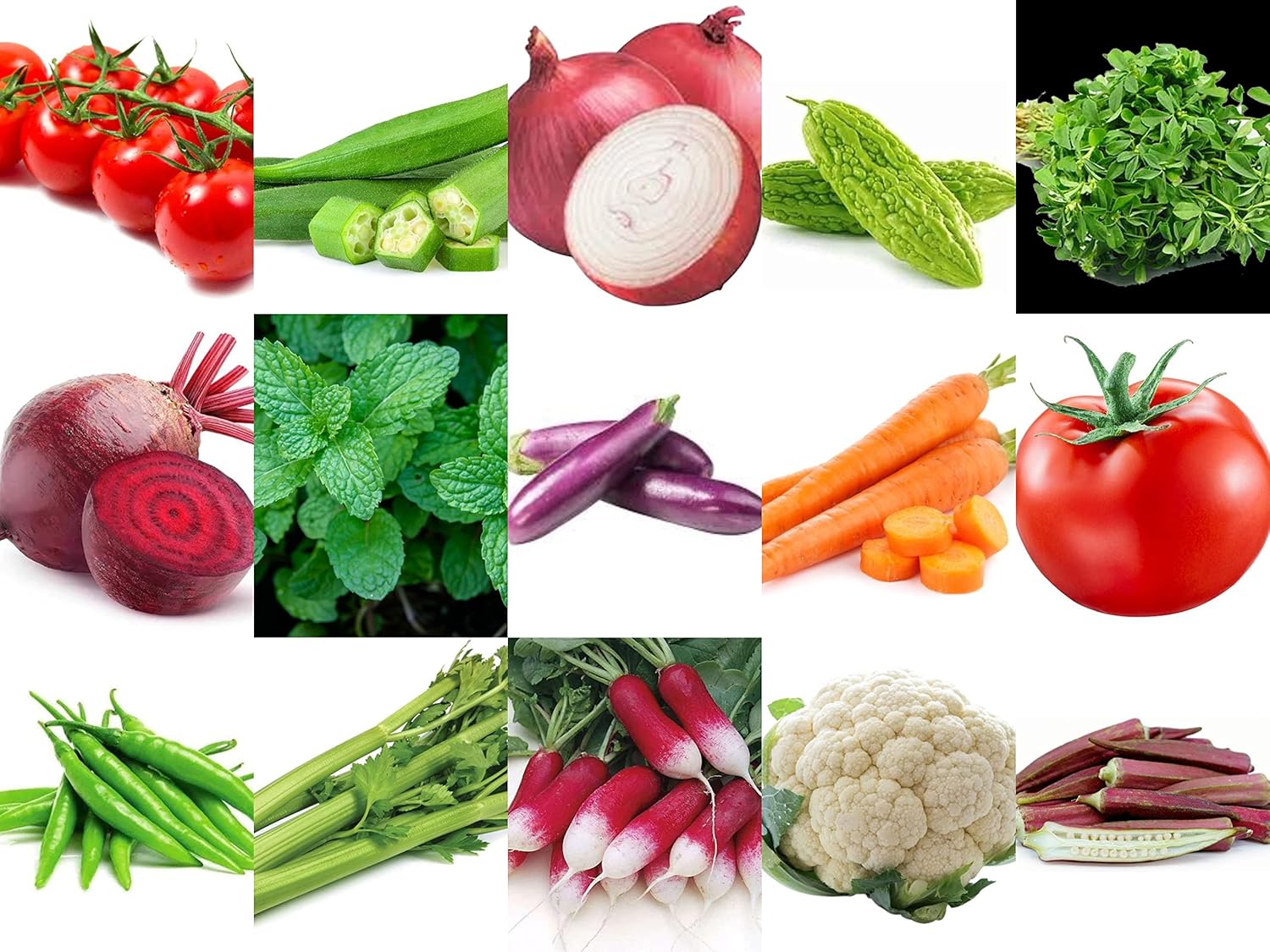 Agro Acres Organic Vegetable Seeds Combo Pack - 30 Varieties Kitchen Garden Pack (2000+ Seeds Approx) - Seeds Ville