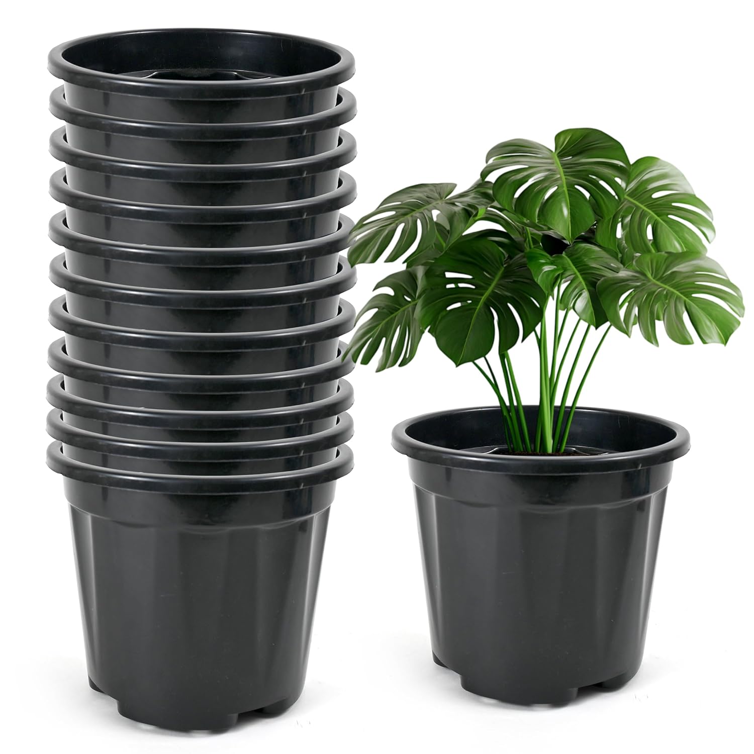 Nursery Seedlings Pots - 8In Dia, 12Pcs Set, Black - Garden Plant Pots for Indoors & Outdoors | Planting Containers for Home Plants