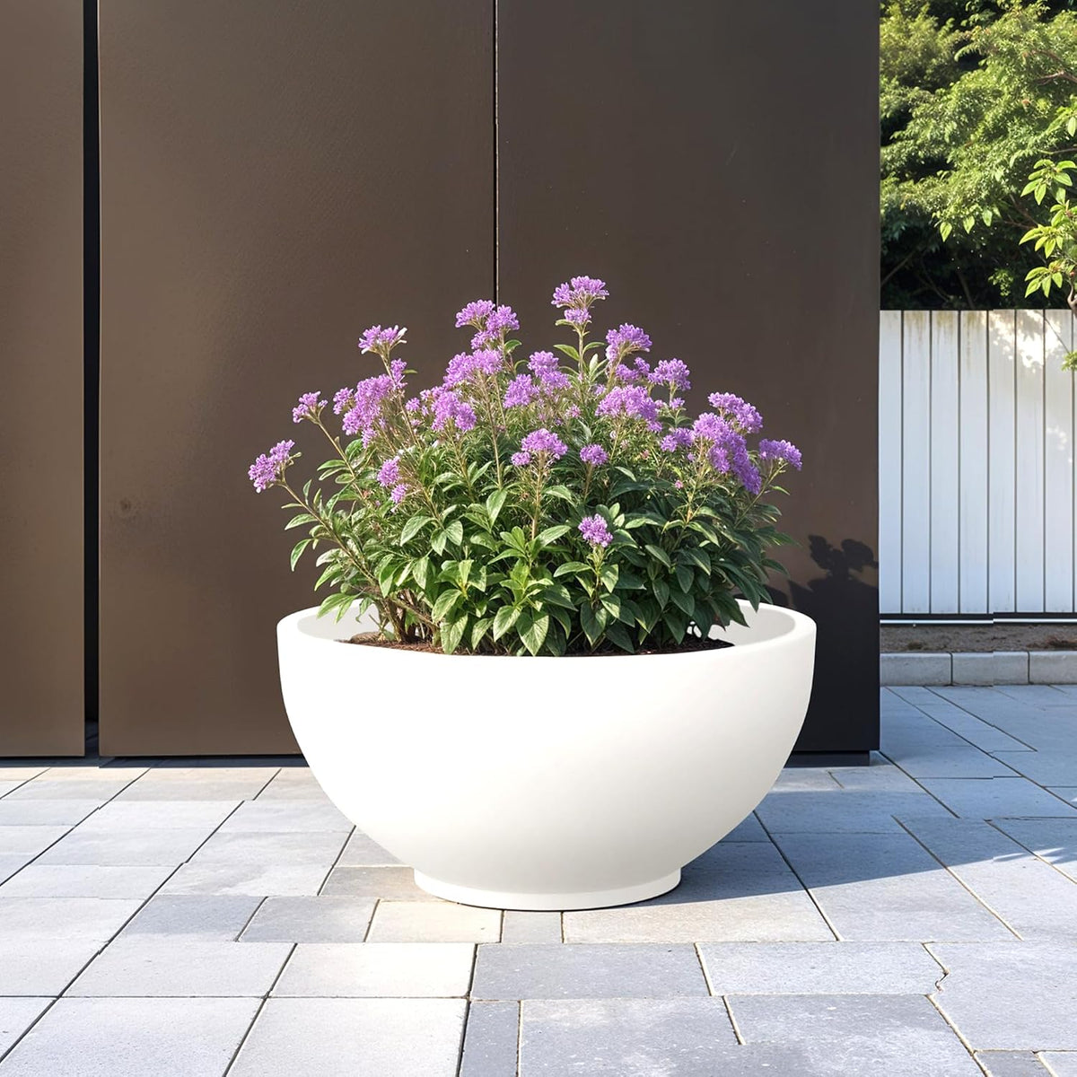 Seeds Ville FOXB KTR Durable Polymer Planter Pot