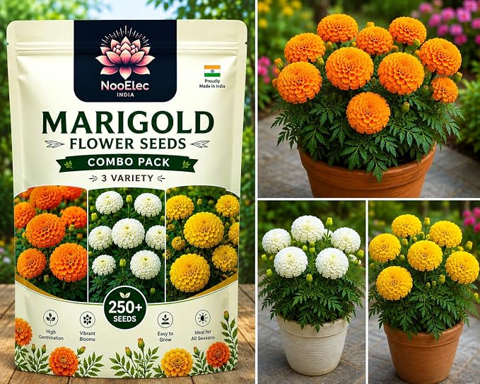 Seeds Ville Hybrid Flower Seeds Combo Pack Grow All India