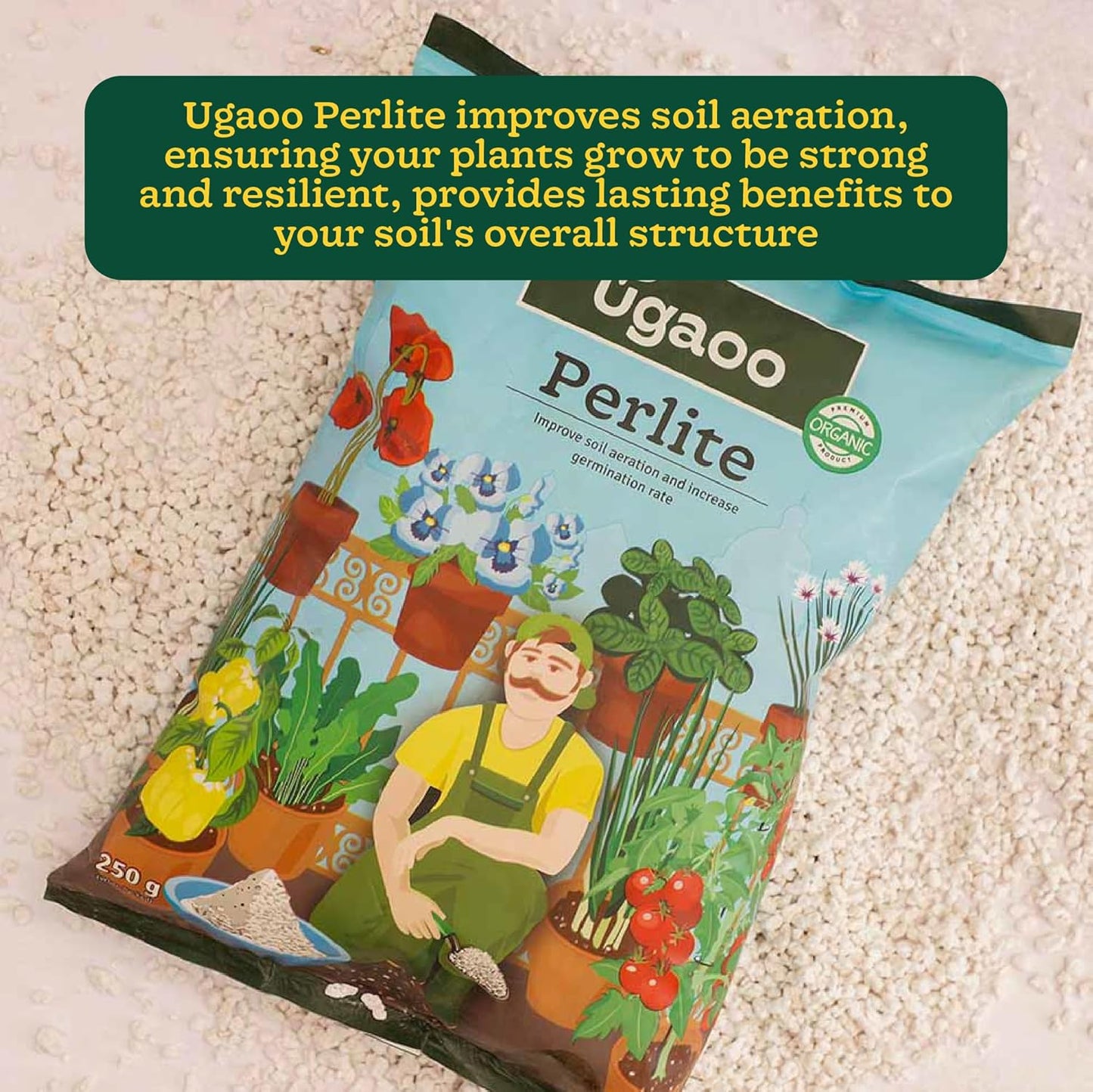 Ugaoo Perlite for Gardening Potting Soil, Indoor & Outdoor, Hydroponics and Horticulture Potting Mix- 250 Grams