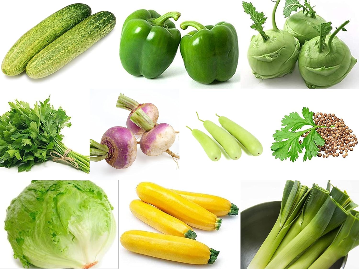 Agro Acres Organic Vegetable Seeds Combo Pack - 30 Varieties Kitchen Garden Pack (2000+ Seeds Approx) - Seeds Ville