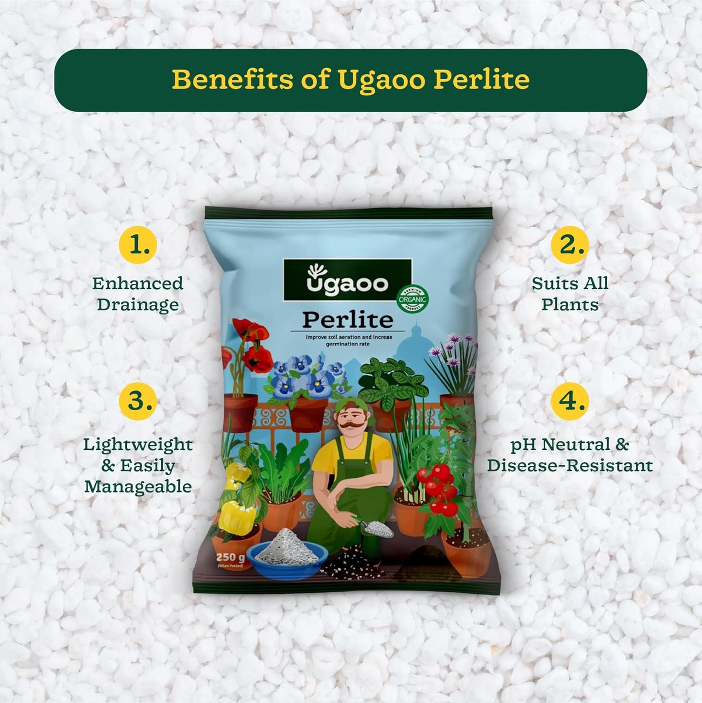 Ugaoo Perlite for Gardening Potting Soil, Indoor & Outdoor, Hydroponics and Horticulture Potting Mix- 250 Grams
