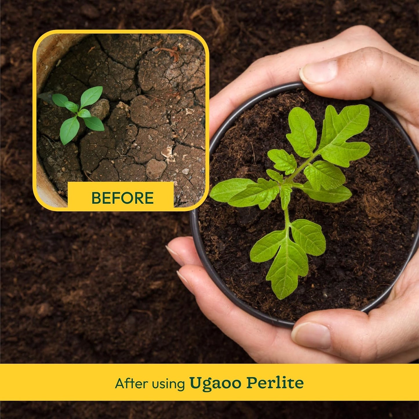Ugaoo Perlite for Gardening Potting Soil, Indoor & Outdoor, Hydroponics and Horticulture Potting Mix- 250 Grams