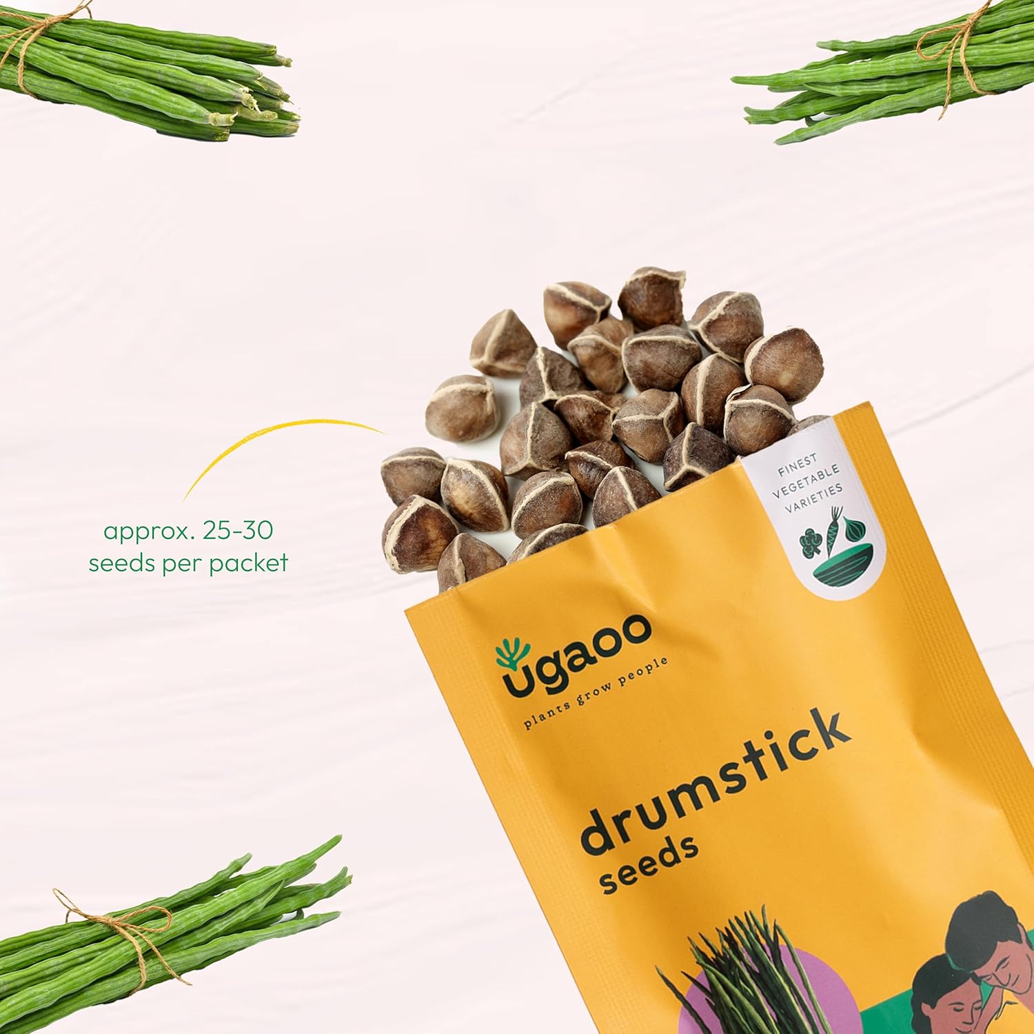 UGAOO Drumstick Moringa Vegetable Seeds (Green, Pack of 10g)