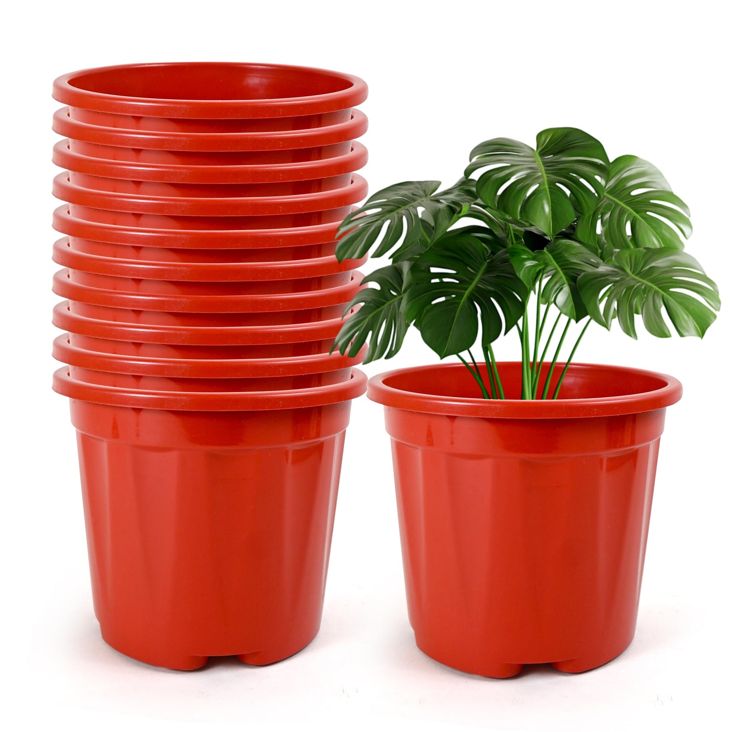 Nursery Seedlings Pots - 8In Dia, 12Pcs Set, Black - Garden Plant Pots for Indoors & Outdoors | Planting Containers for Home Plants