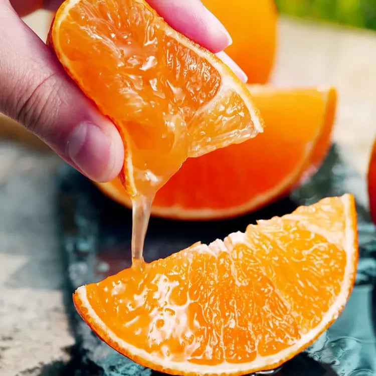 Organic Jelly Orange Seeds - Grow Your Own Sweet, Vibrant Citrus Fruit at Home