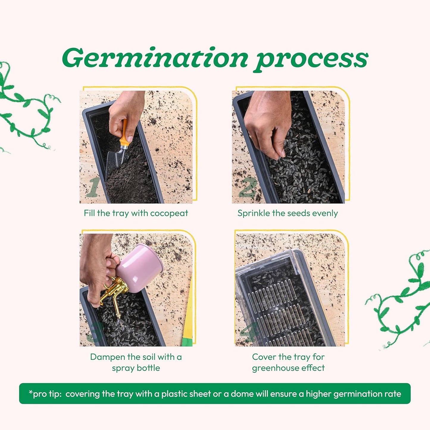 UGAOO Drumstick Moringa Vegetable Seeds (Green, Pack of 10g)