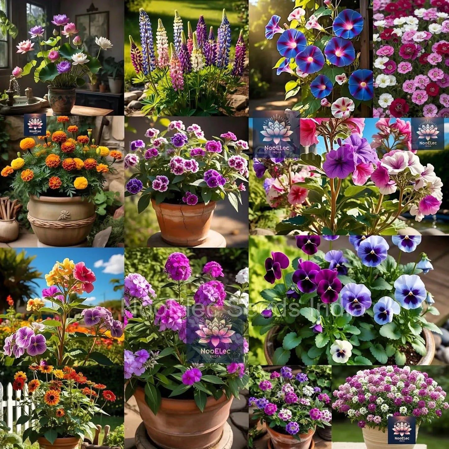 Hybrid Flower Seeds Combo Pack, 40 Types, 2050+ Seeds, Easy to Grow, All India Compatible, Year-Round Blooming - Seeds Ville