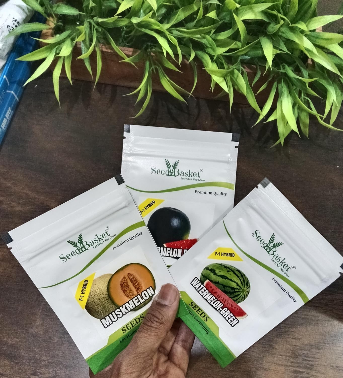 Seed Basket Pack of 3 Melons F1-Hybrid Seeds | Watermelon Green (25), Watermelon Blacks (15), Muskmelon (15) | ISeeds deal for planting, Gardening and Farming