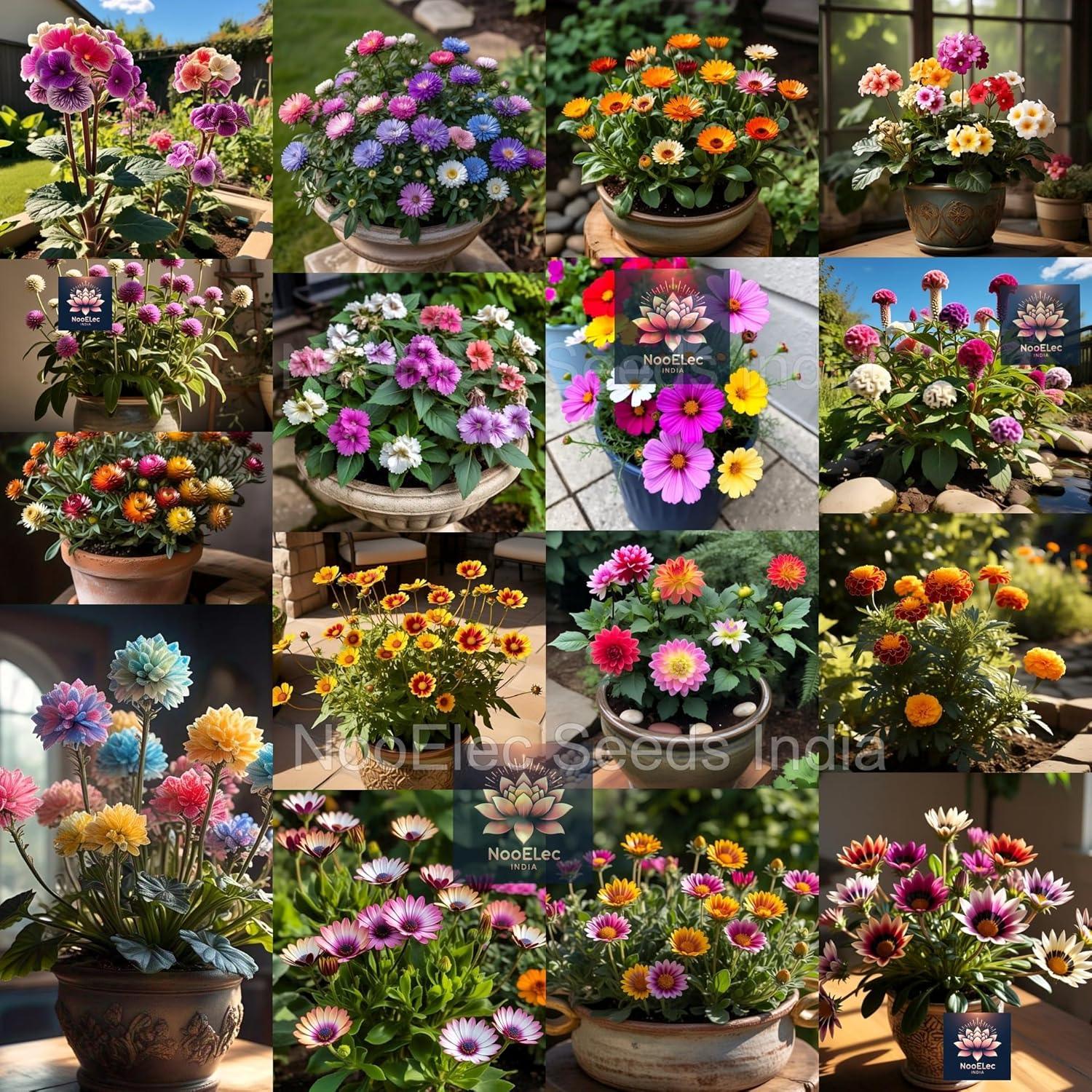 Hybrid Flower Seeds Combo Pack, 40 Types, 2050+ Seeds, Easy to Grow, All India Compatible, Year-Round Blooming - Seeds Ville