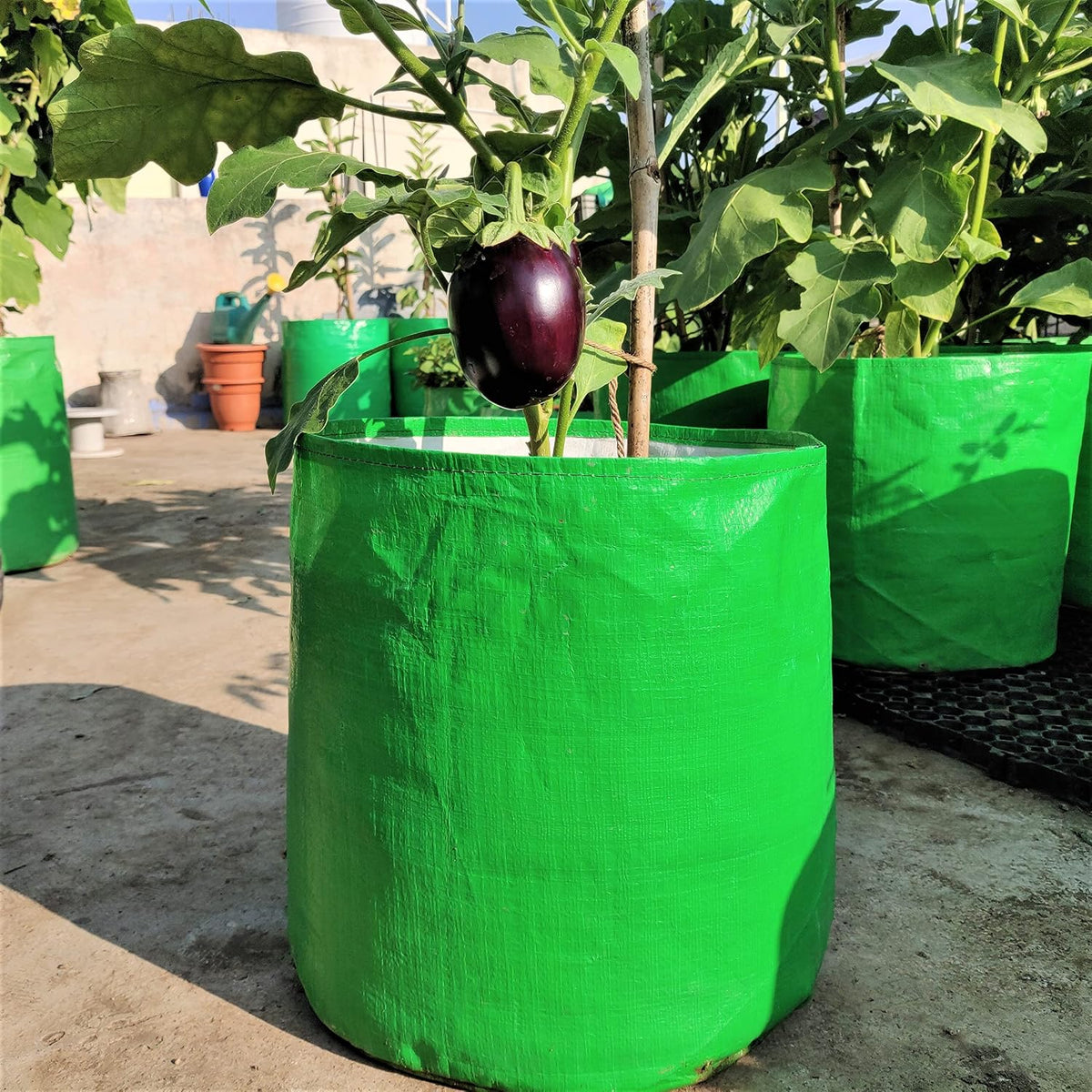 Seeds Ville HDPE Round Grow Bag 30x30 cm