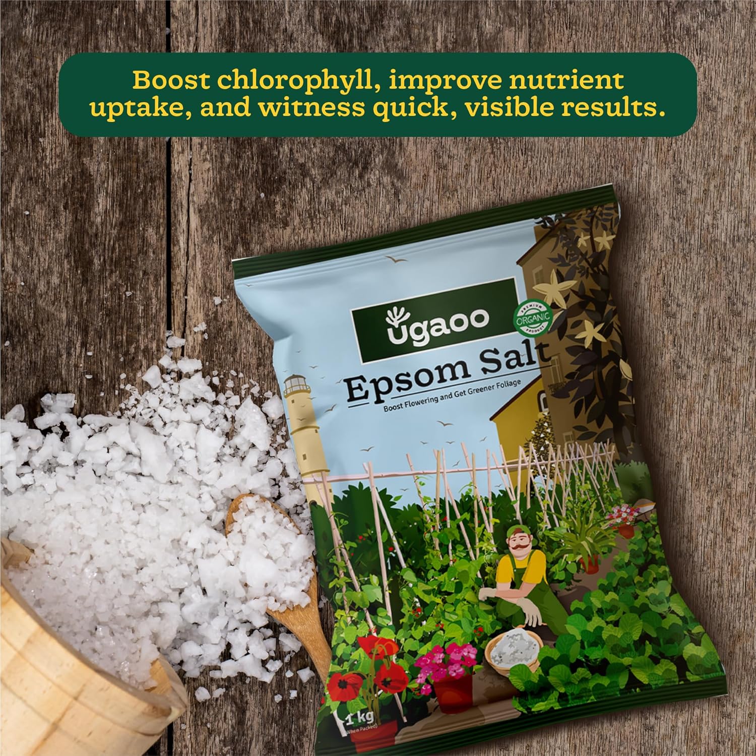 Ugaoo Epsom Salt for Plants Growth - Magnesium Sulphate Organic Fertilizer - 1 Kg |Powder - Seeds Ville