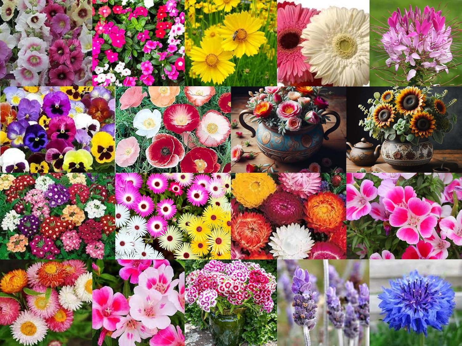 3000+ SEEDS- 51 Variety Exotic Hybrid Flower Seeds Combo Pack- All Year Flower Seeds. - Seeds Ville