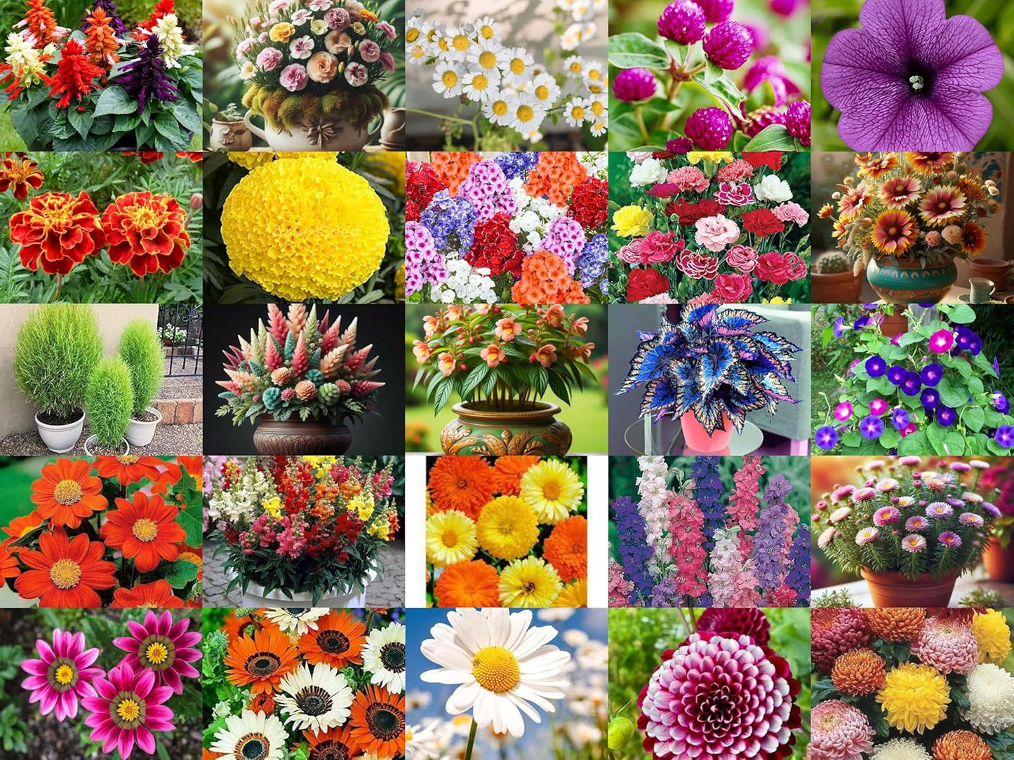 3000+ SEEDS- 51 Variety Exotic Hybrid Flower Seeds Combo Pack- All Year Flower Seeds. - Seeds Ville