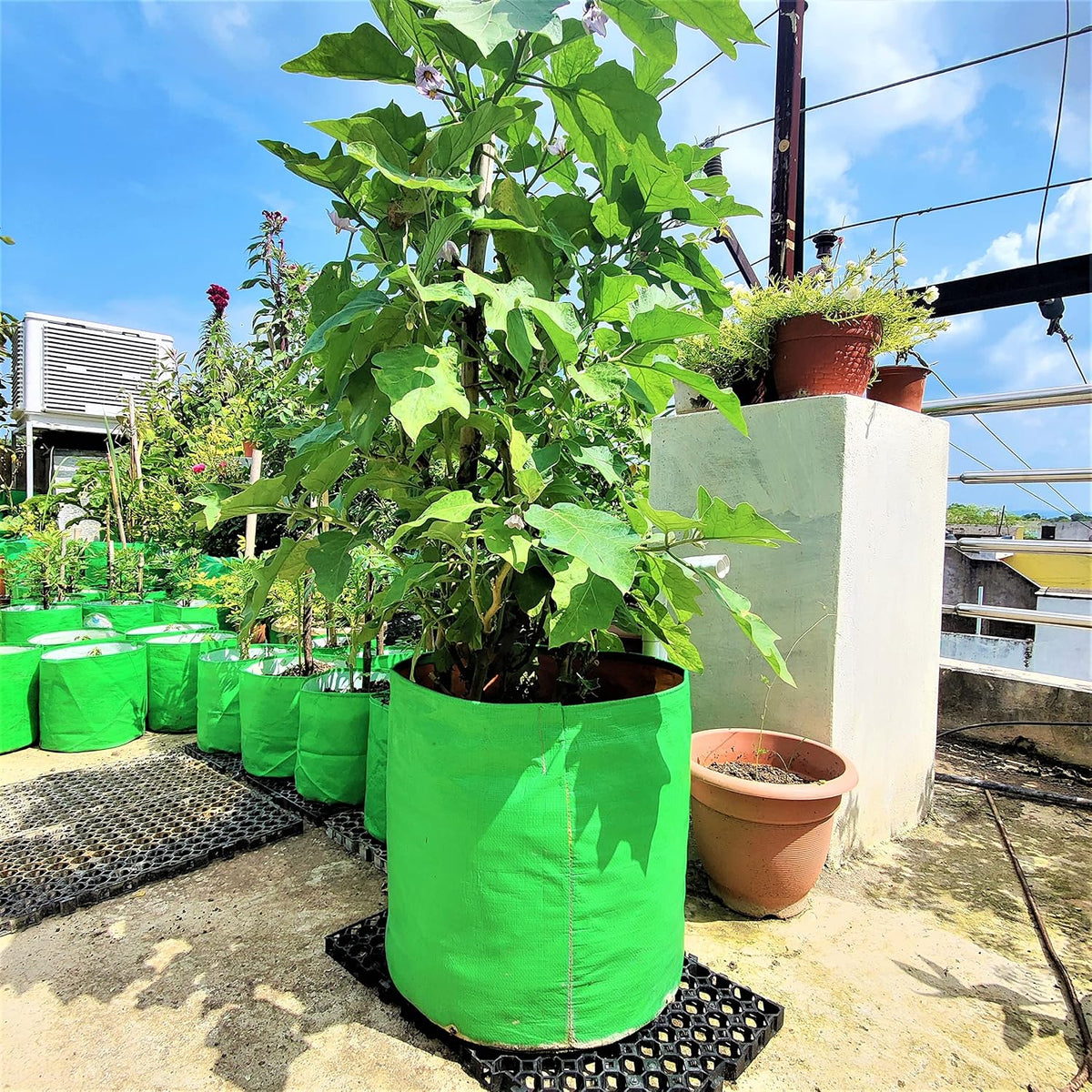 Seeds Ville HDPE Round Grow Bag 30x30 cm