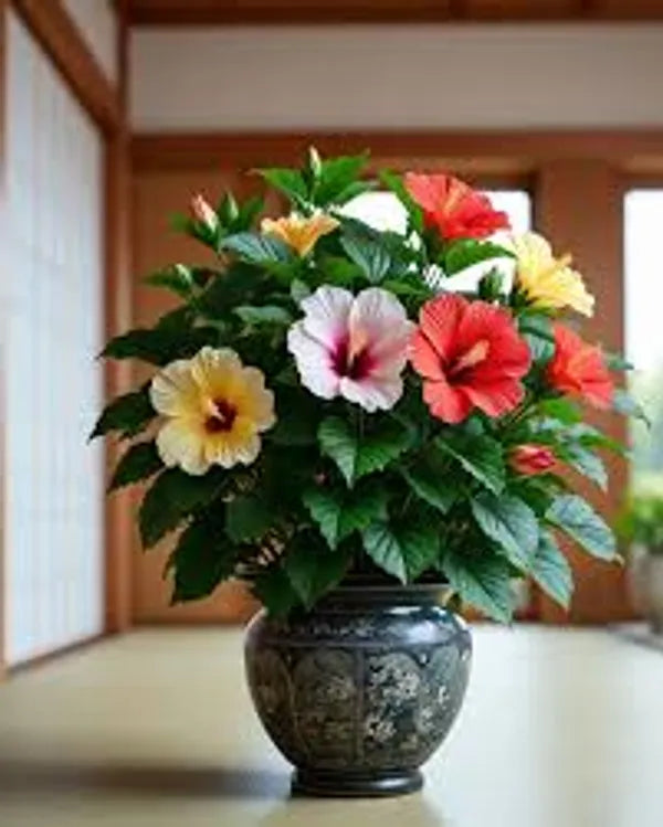 https://d1311wbk6unapo.cloudfront.net/NushopCatalogue/tr:f-webp,w-600,fo-auto/6895bfd6ed4d9e6c607e7d78/cat_img/Multicolour_Hibiscus_Gudhal_Flowers_Live_Plant__4KU2G7SG4G_2025-11-06_2.jpg