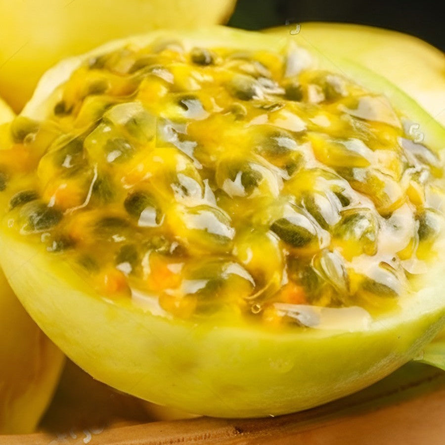 Seeds Ville Golden Passion Fruit Seedling Plant Passiflora Edulis