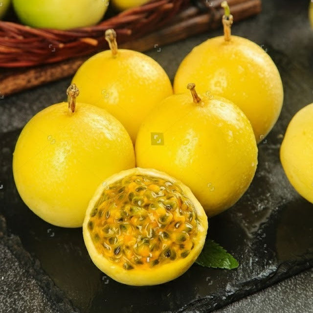 Seeds Ville Golden Passion Fruit Seedling Plant Passiflora Edulis