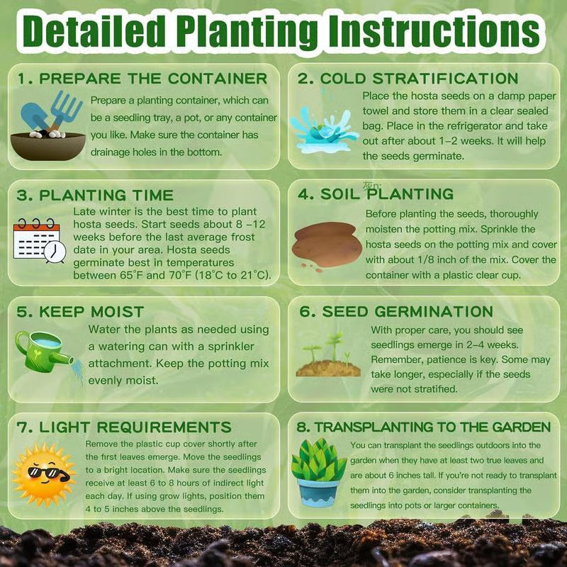 Black Hosta Seeds: Grow Lush Dark Foliage, Free Organic Pot Mix