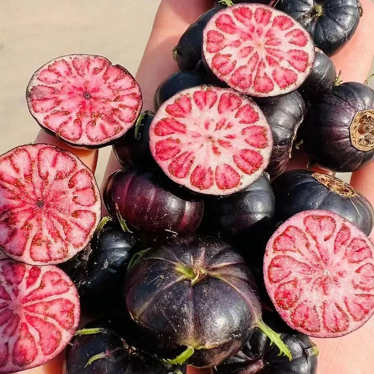 Premium Red Berry Ginseng Seeds: Easy-Grow Spider Fruit, Nutrient-Rich Garden Delight