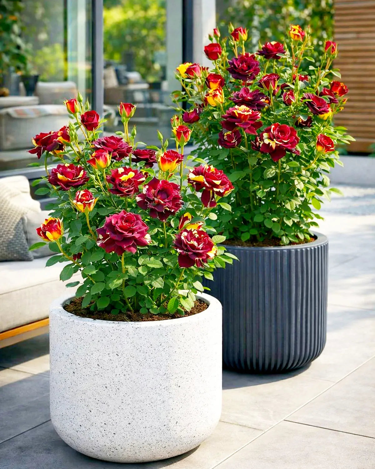 https://d1311wbk6unapo.cloudfront.net/NushopCatalogue/tr:f-webp,w-1200,fo-auto/6895bfd6ed4d9e6c607e7d78/cat_img/hwwtpTta_IHARZ290F2_2026-02-15_1.jpg