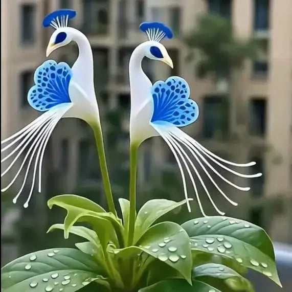 https://cdn.shopify.com/s/files/1/0656/8050/7059/files/muchmore11.webp?v=1768085453