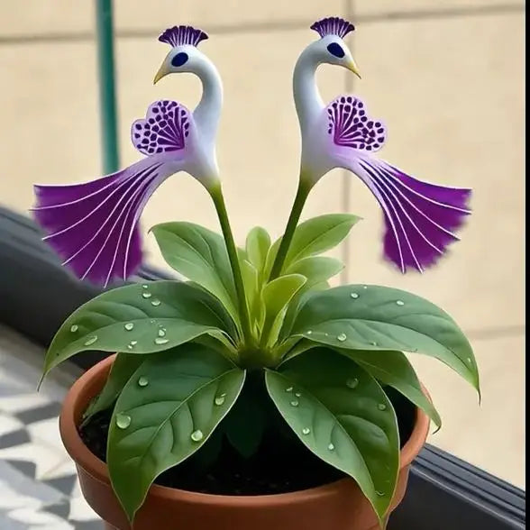 https://cdn.shopify.com/s/files/1/0656/8050/7059/files/muchmore4783.webp?v=1768085454