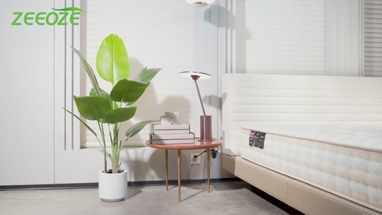 Seeds Ville Monstera Deliciosa Live Plant With Grow Bag Pot