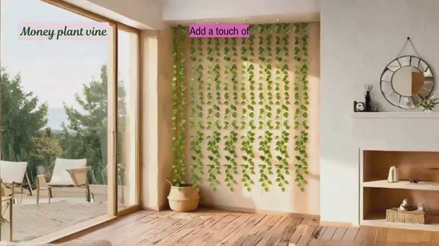 Seeds Ville Duranta Pretty Purple Shower Live Flowering Plant