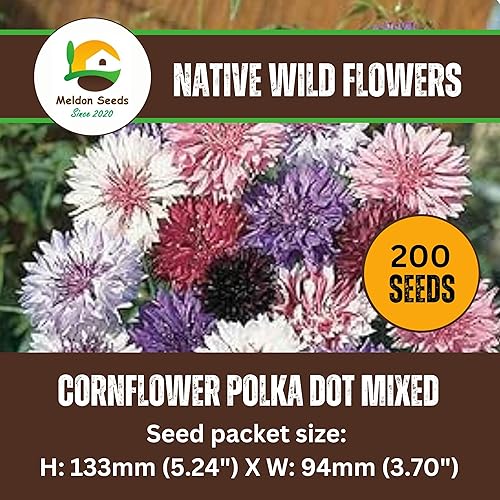Cornflower Polka Dot Mix 200 Native Wildflower Seeds Pack